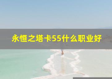 永恒之塔卡55什么职业好