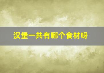 汉堡一共有哪个食材呀