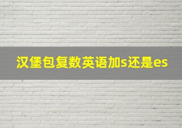 汉堡包复数英语加s还是es