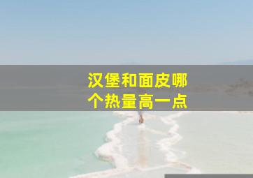 汉堡和面皮哪个热量高一点