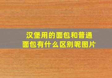 汉堡用的面包和普通面包有什么区别呢图片