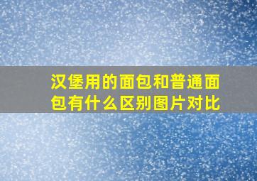 汉堡用的面包和普通面包有什么区别图片对比