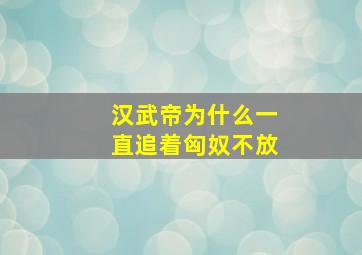 汉武帝为什么一直追着匈奴不放