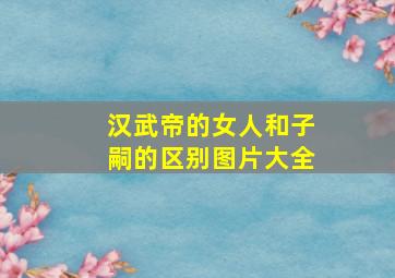 汉武帝的女人和子嗣的区别图片大全