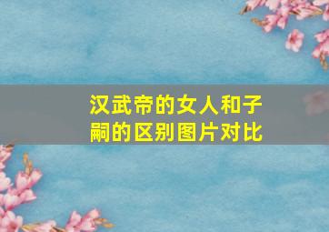 汉武帝的女人和子嗣的区别图片对比