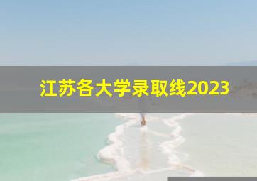 江苏各大学录取线2023