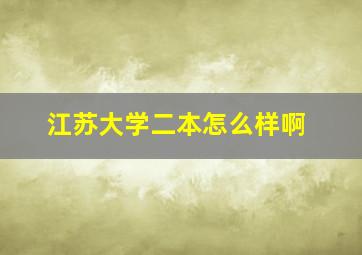 江苏大学二本怎么样啊