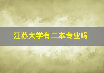 江苏大学有二本专业吗