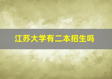 江苏大学有二本招生吗