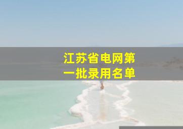 江苏省电网第一批录用名单