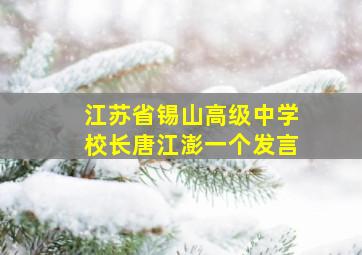 江苏省锡山高级中学校长唐江澎一个发言