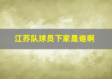 江苏队球员下家是谁啊