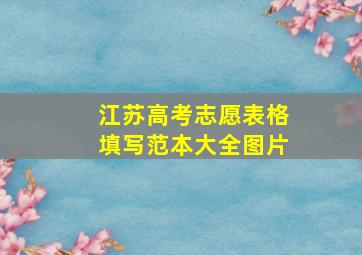 江苏高考志愿表格填写范本大全图片