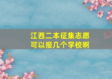 江西二本征集志愿可以报几个学校啊