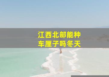 江西北部能种车厘子吗冬天