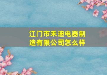 江门市禾迪电器制造有限公司怎么样