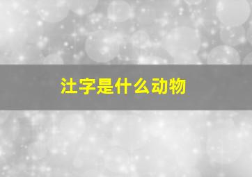 汢字是什么动物