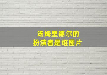 汤姆里德尔的扮演者是谁图片