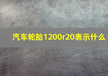 汽车轮胎1200r20表示什么