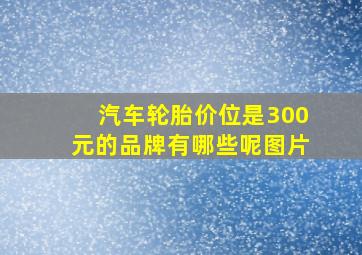 汽车轮胎价位是300元的品牌有哪些呢图片