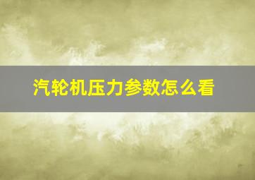 汽轮机压力参数怎么看