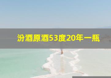 汾酒原酒53度20年一瓶