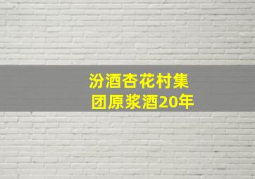 汾酒杏花村集团原浆酒20年