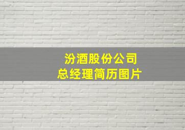 汾酒股份公司总经理简历图片