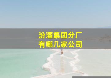 汾酒集团分厂有哪几家公司