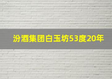 汾酒集团白玉坊53度20年