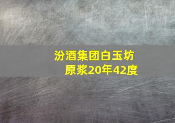 汾酒集团白玉坊原浆20年42度