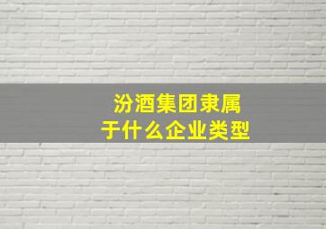 汾酒集团隶属于什么企业类型