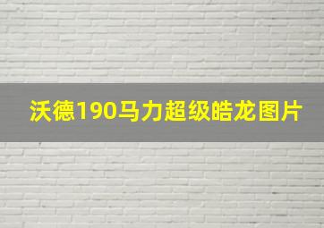 沃德190马力超级皓龙图片