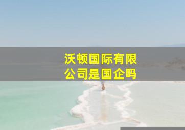 沃顿国际有限公司是国企吗