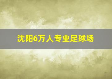 沈阳6万人专业足球场