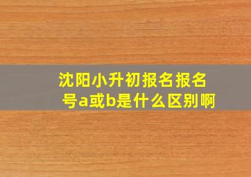 沈阳小升初报名报名号a或b是什么区别啊