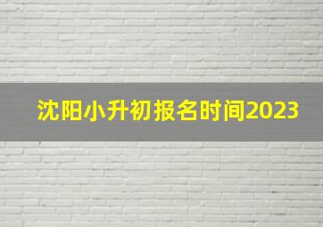 沈阳小升初报名时间2023