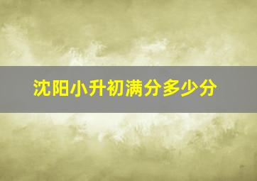 沈阳小升初满分多少分