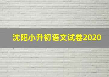 沈阳小升初语文试卷2020