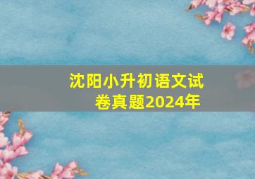 沈阳小升初语文试卷真题2024年