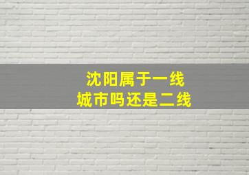 沈阳属于一线城市吗还是二线