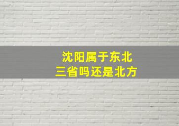 沈阳属于东北三省吗还是北方