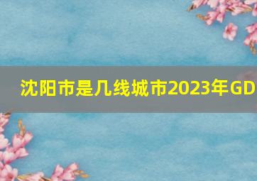 沈阳市是几线城市2023年GDP