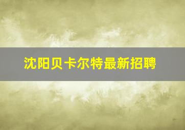 沈阳贝卡尔特最新招聘