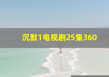 沉默1电视剧25集360