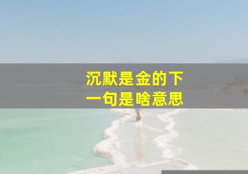 沉默是金的下一句是啥意思