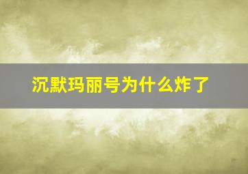 沉默玛丽号为什么炸了