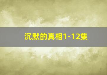 沉默的真相1-12集