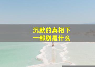 沉默的真相下一部剧是什么