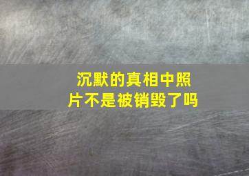 沉默的真相中照片不是被销毁了吗